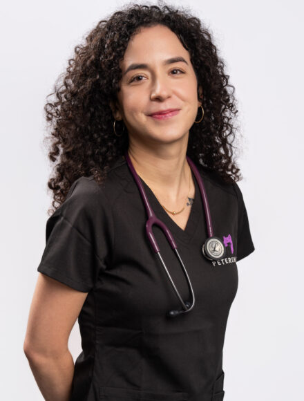 Echipa - dr. Annamaria Mione Echipa - dr. Annamaria Mione