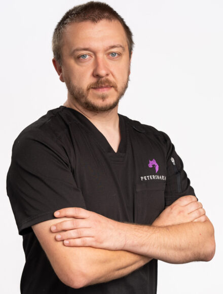 Echipa - dr. Robert Carst Echipa - dr. Robert Carst