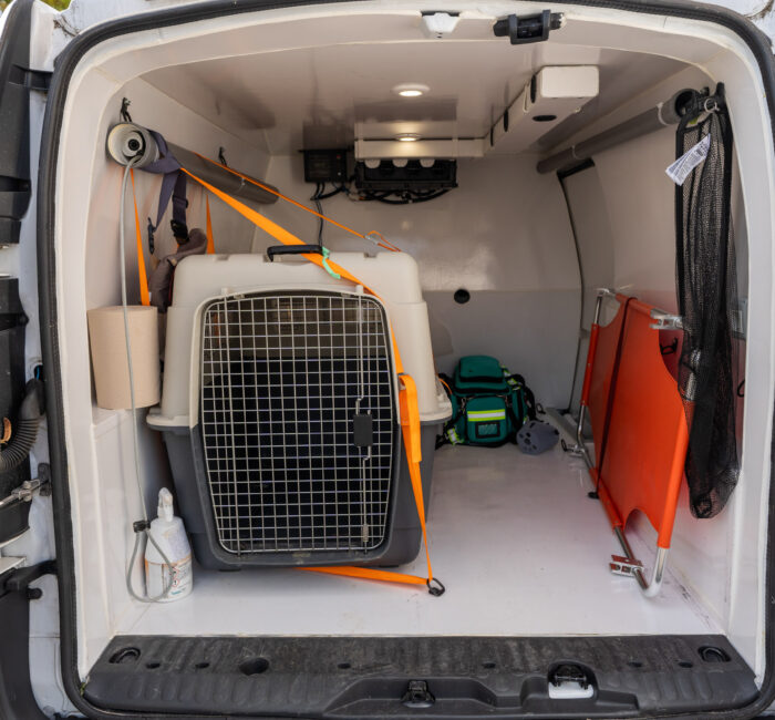 https://www.peterinaria.ro/ambulanta-veterinara/